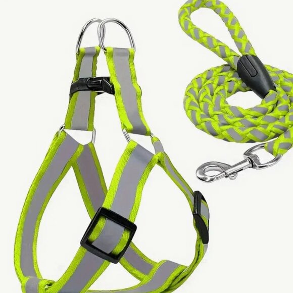 Reflective Dog Harness & Leash Set, Comfortable and Safe for Walking or Training - Picture 1 of 8